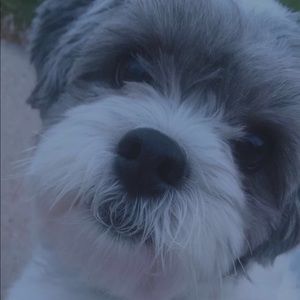 Meet your Posher, Lillian